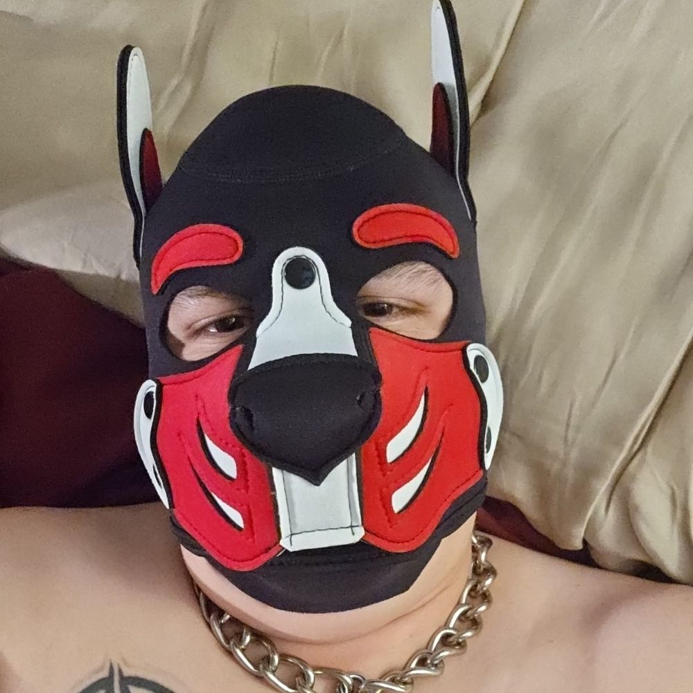 Pup Gregor