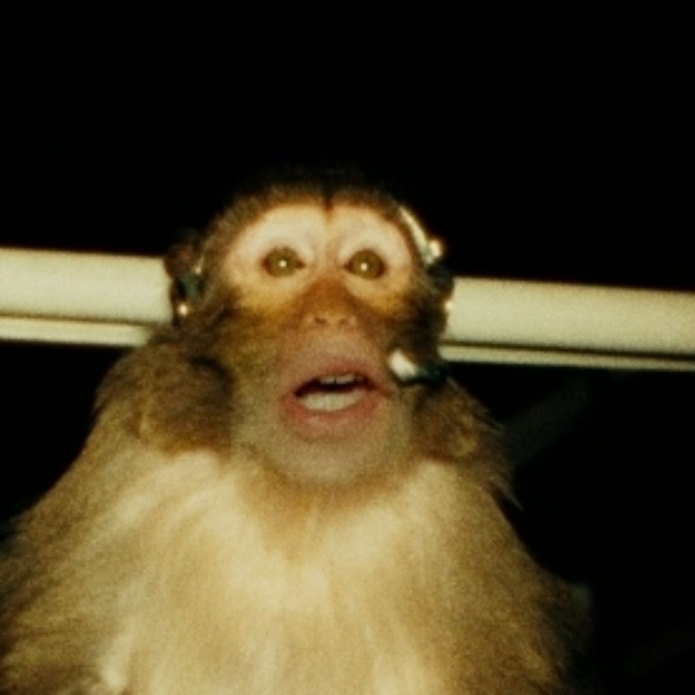 aaronn