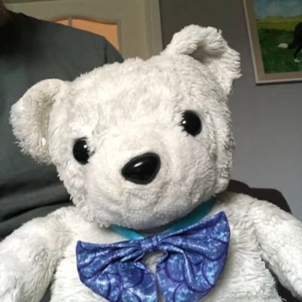 Fluffy T Bear