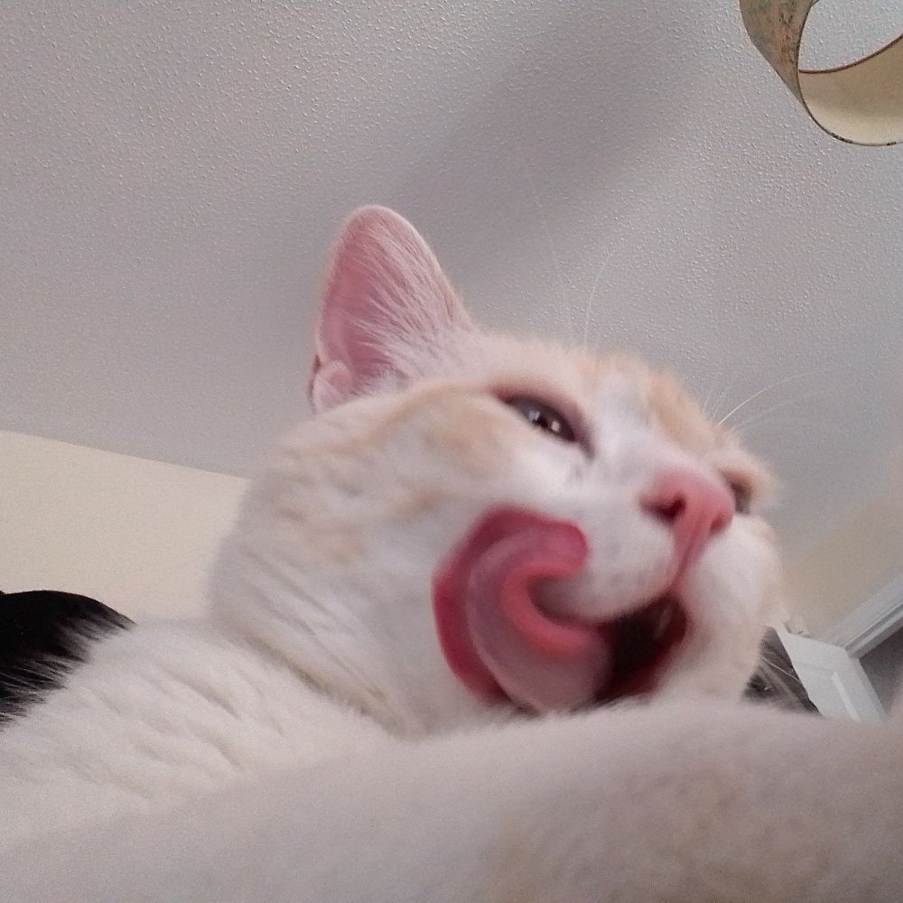 benjaflynn
