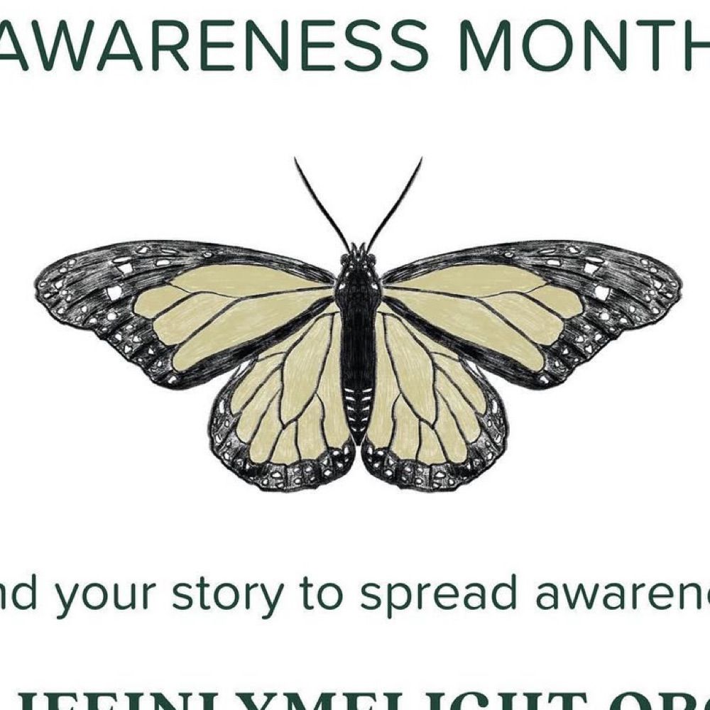 Life in Lyme Light -Butterflies
