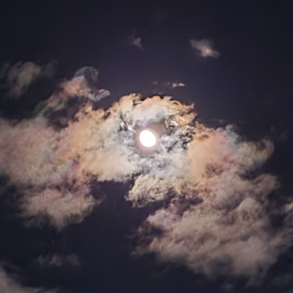 달무리🌝