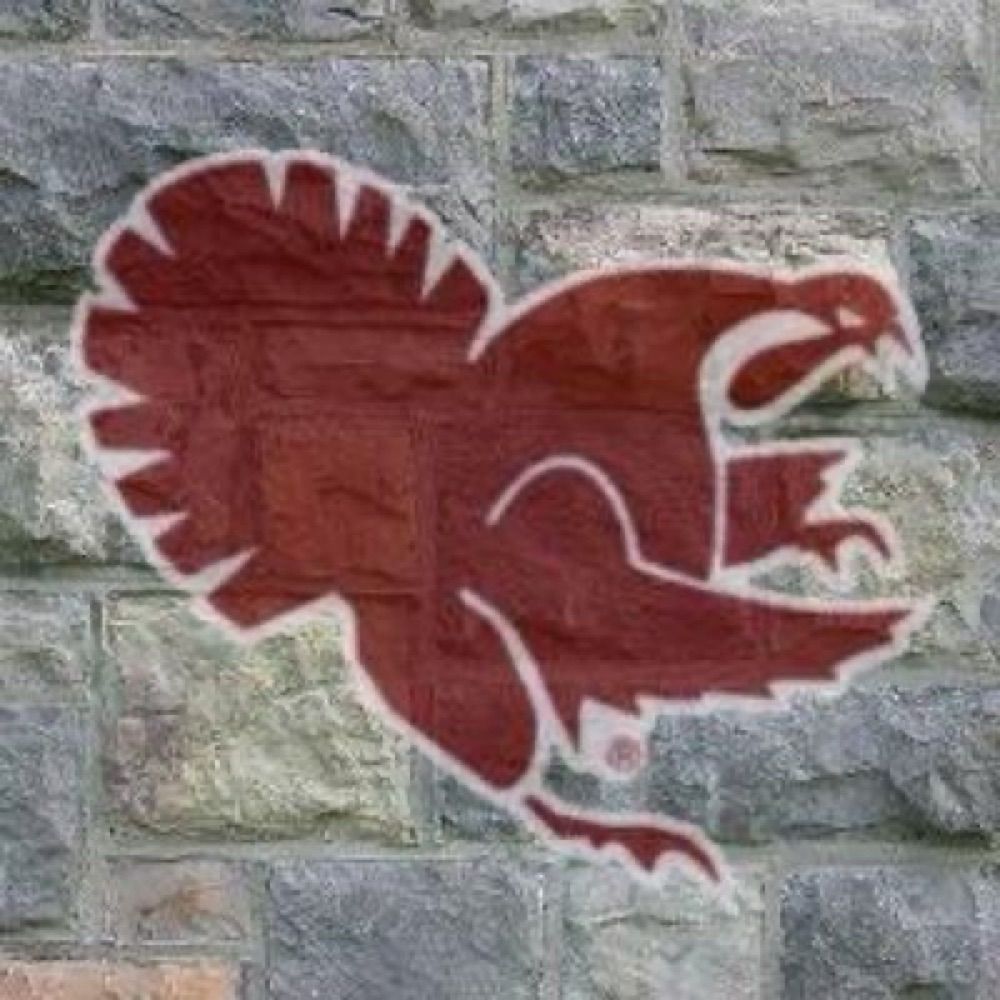 HokiESQ