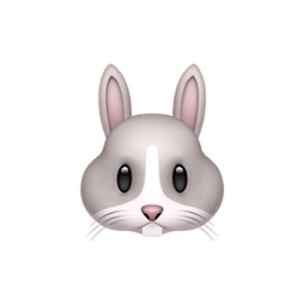 クリキン プロテイン17時