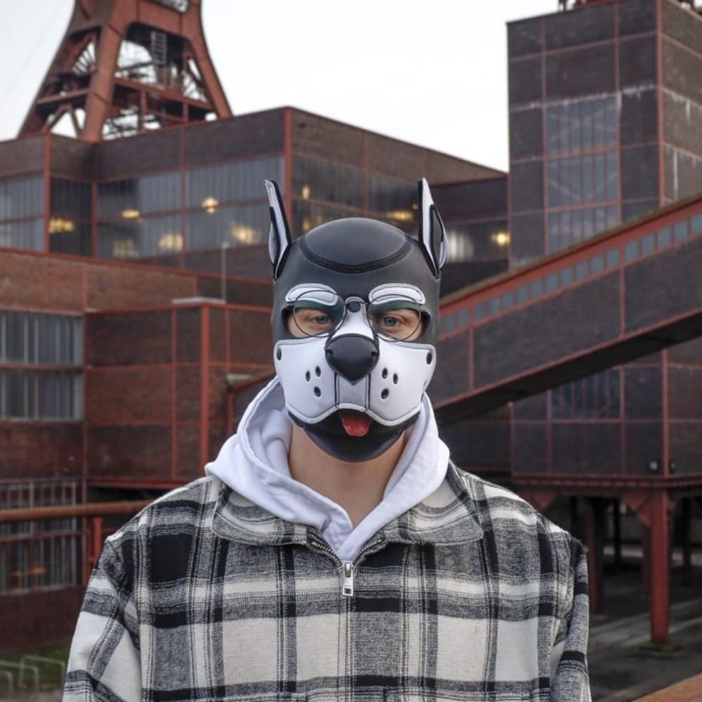 Pup_Barni