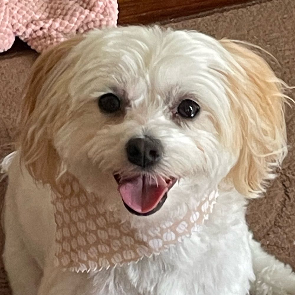 Molly
