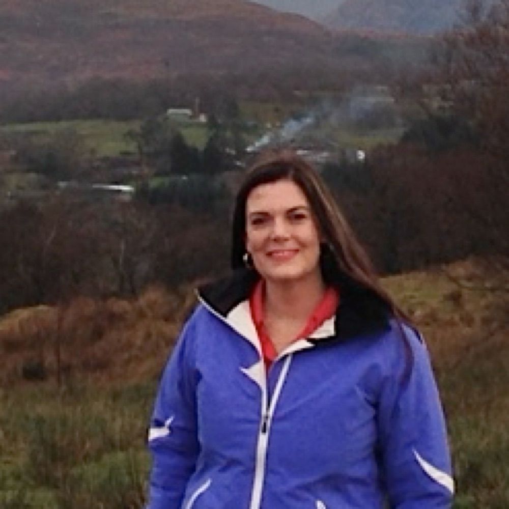 Dr Lesley Rollins