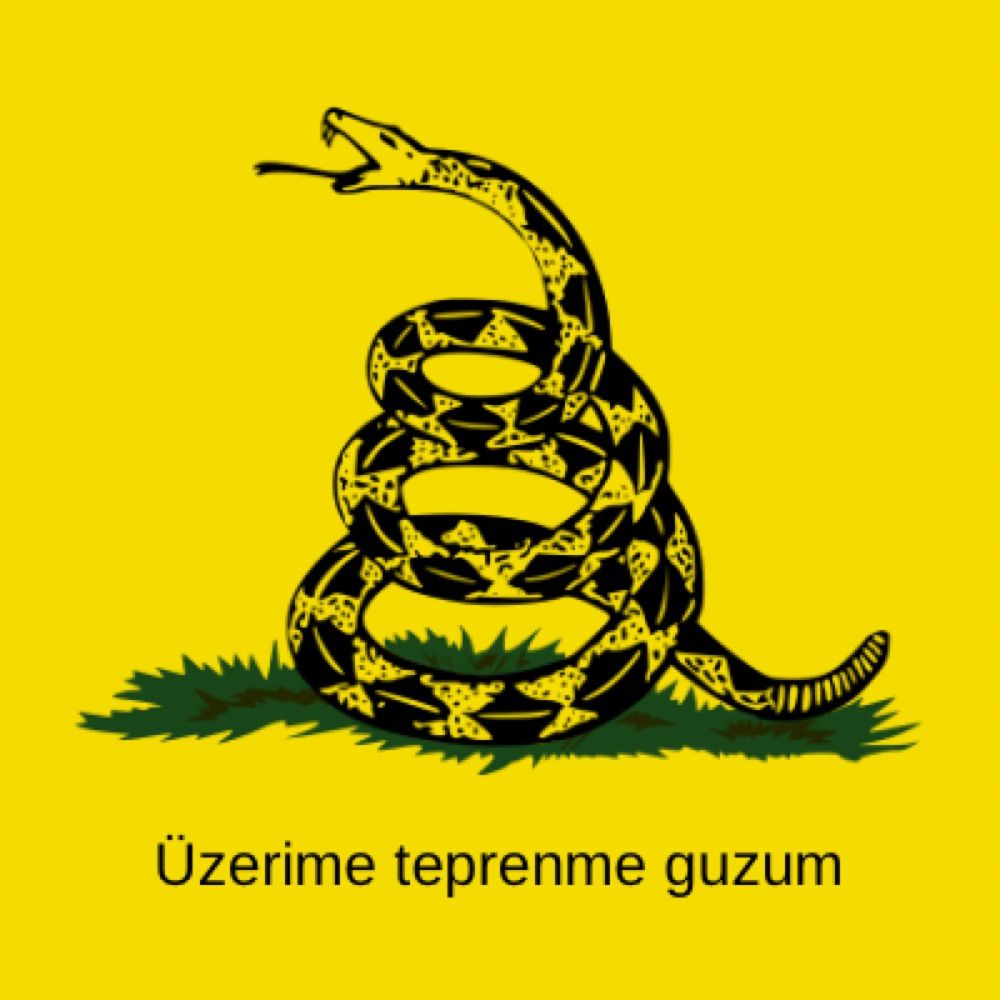 Anadolu Liberali
