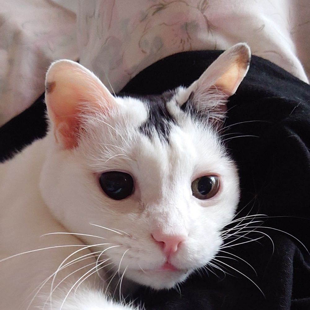 ういんど