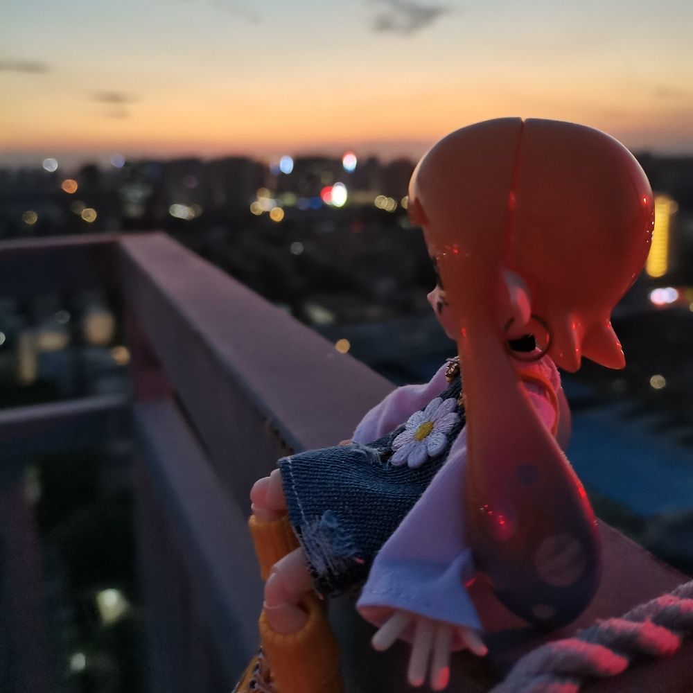 鱼缸不吃萝卜