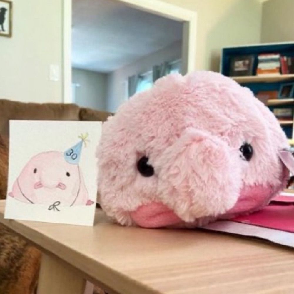 Dr. Blobfish