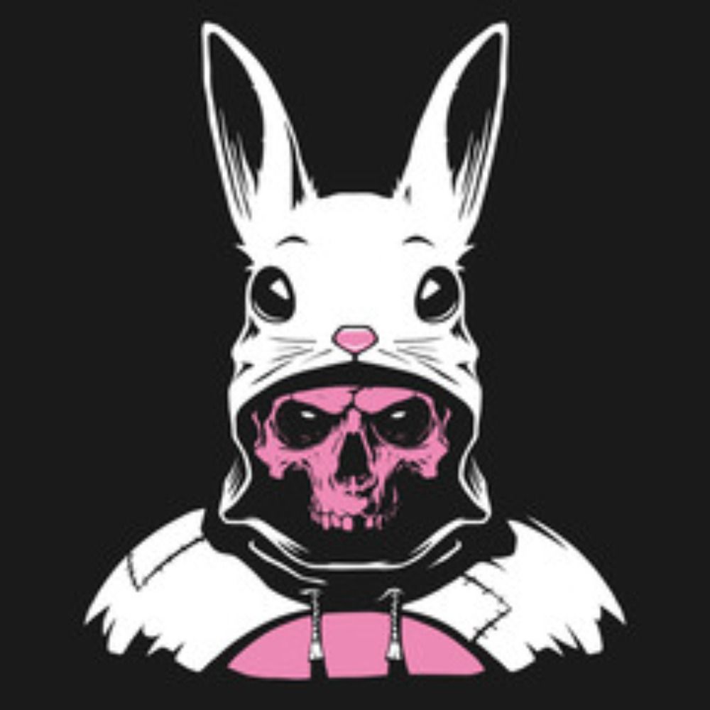 Brett Harper aka DJ Killer Space Bunny