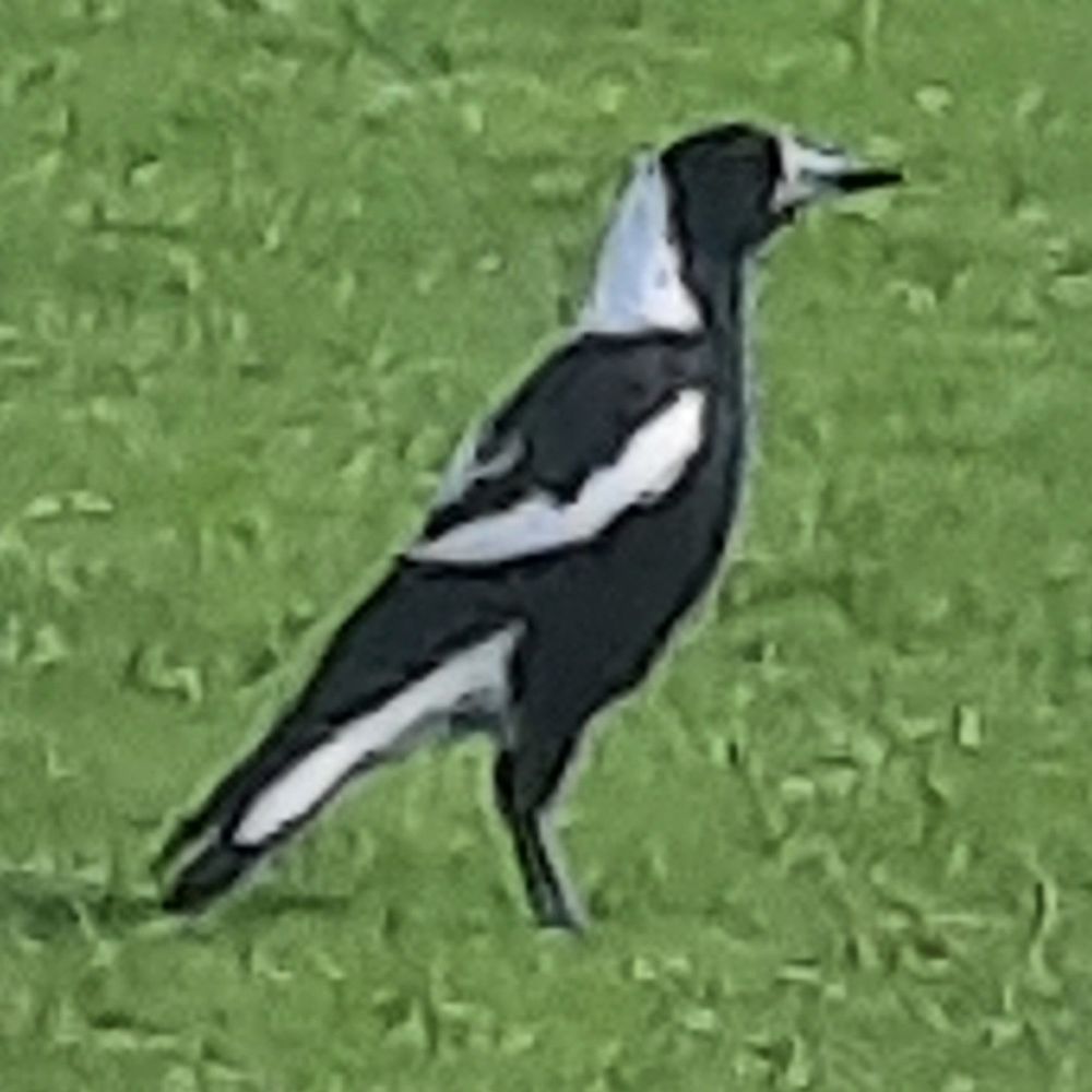 Magpie Said