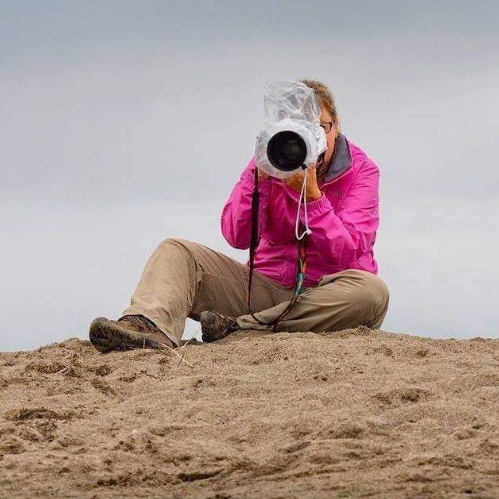 Sheri Minardi Photography