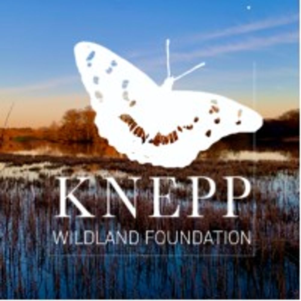 Knepp Wildland Foundation 