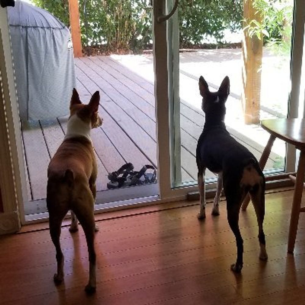 Sophie & Skipper