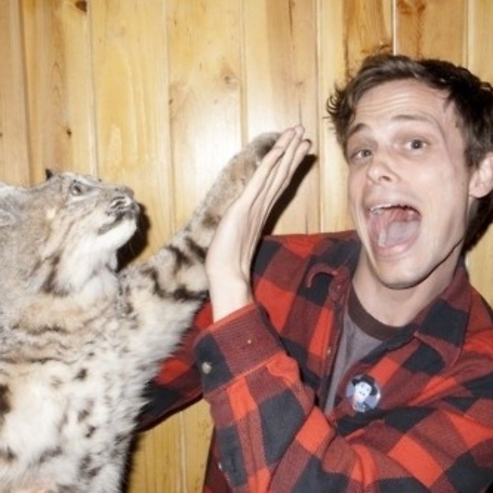 meow gray gubler ! 🐈