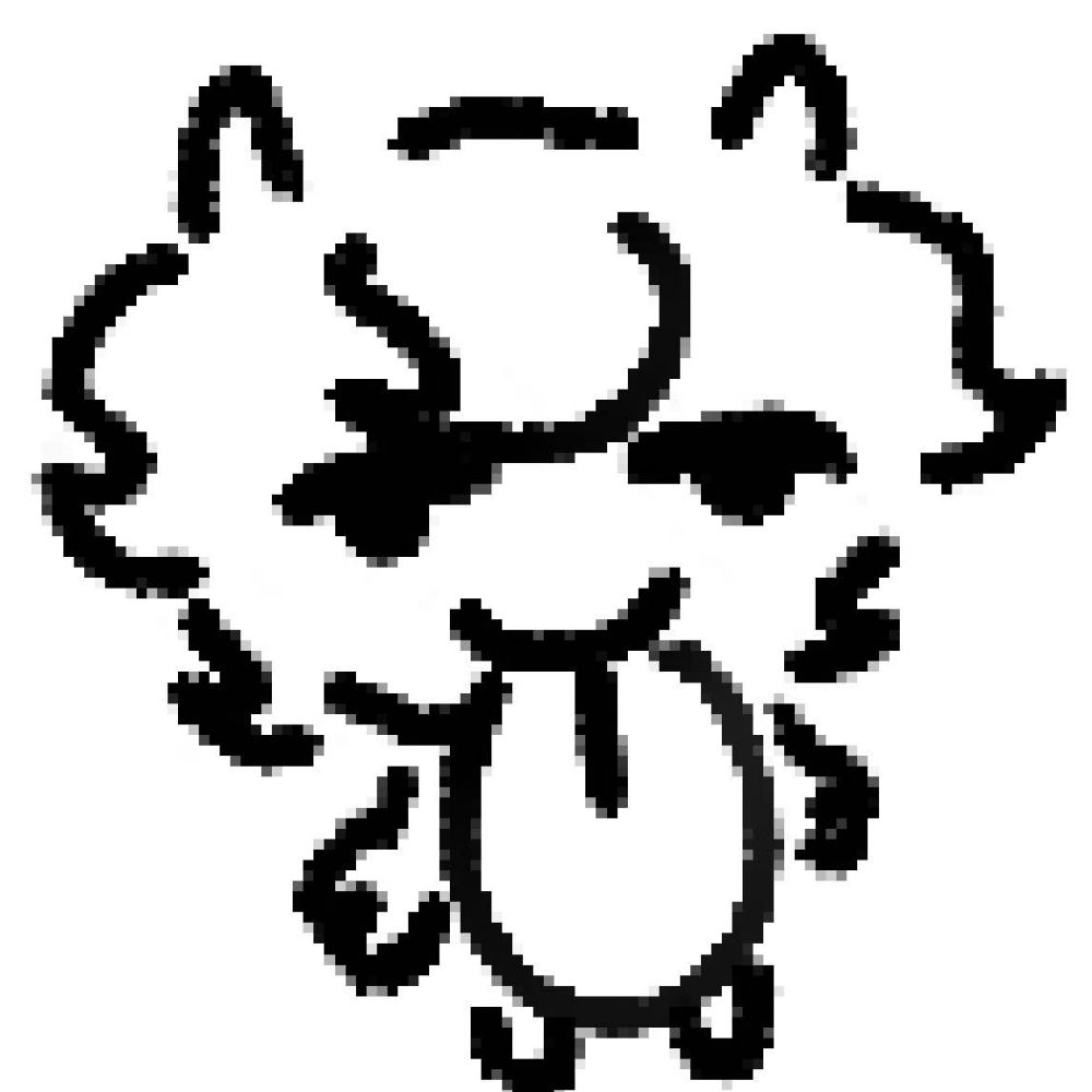 puffyquail