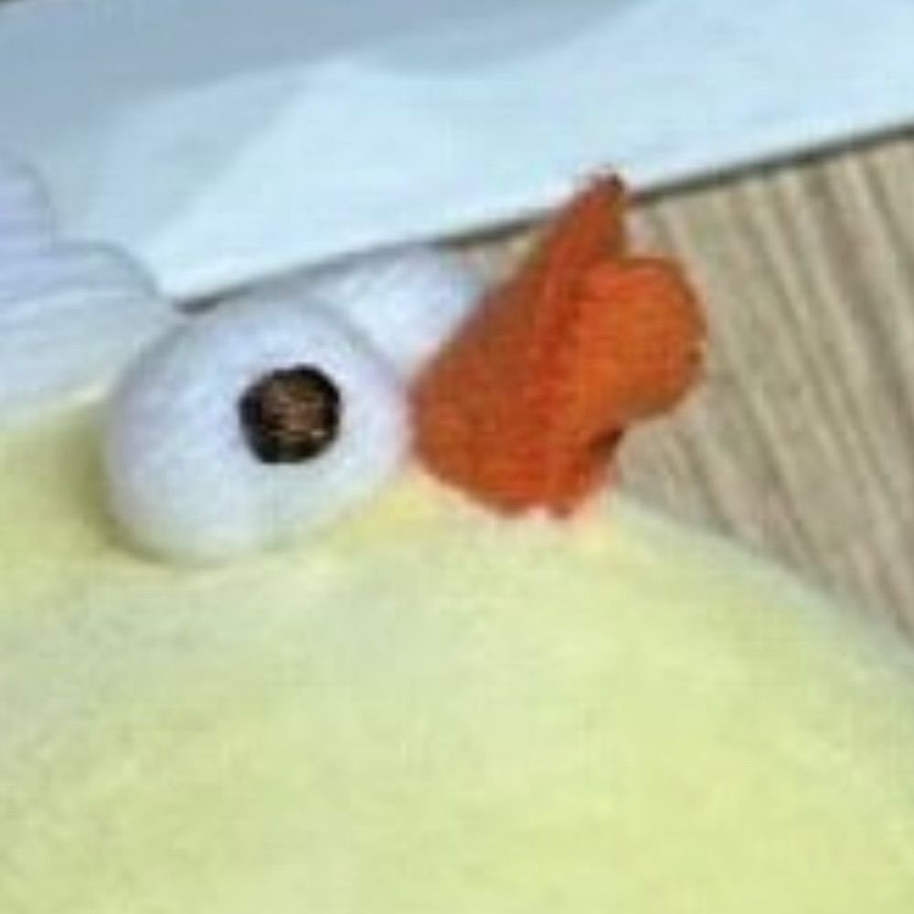 Yvie