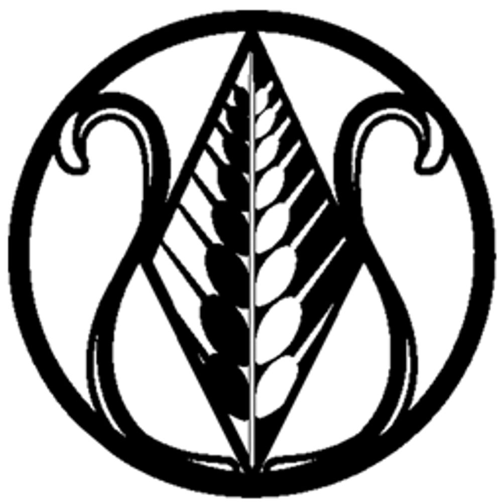 oumi - wheat field