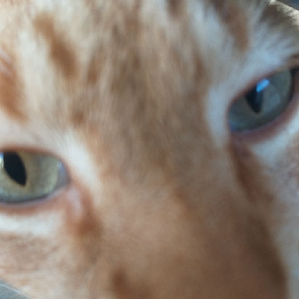 Juliano 