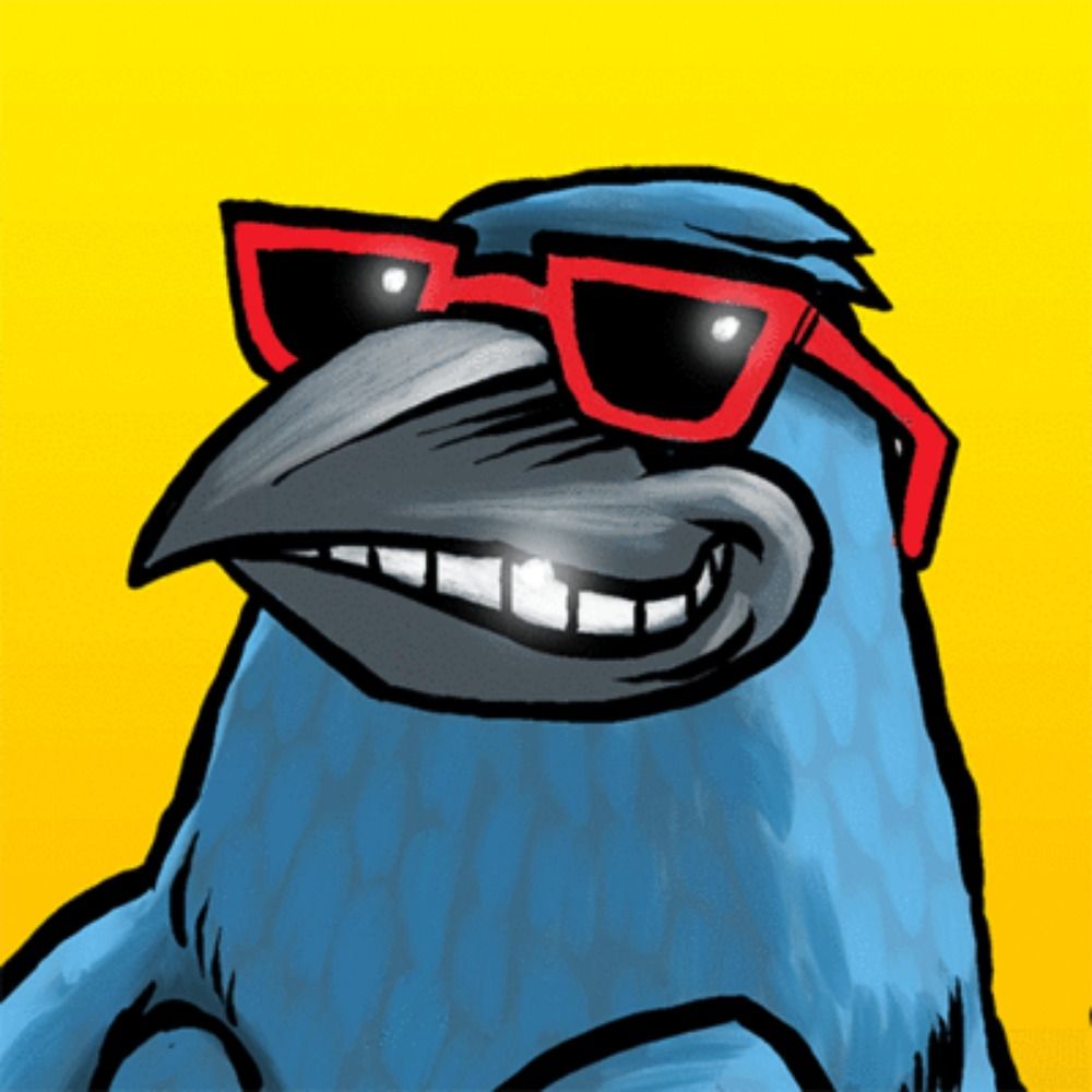 jackdaw