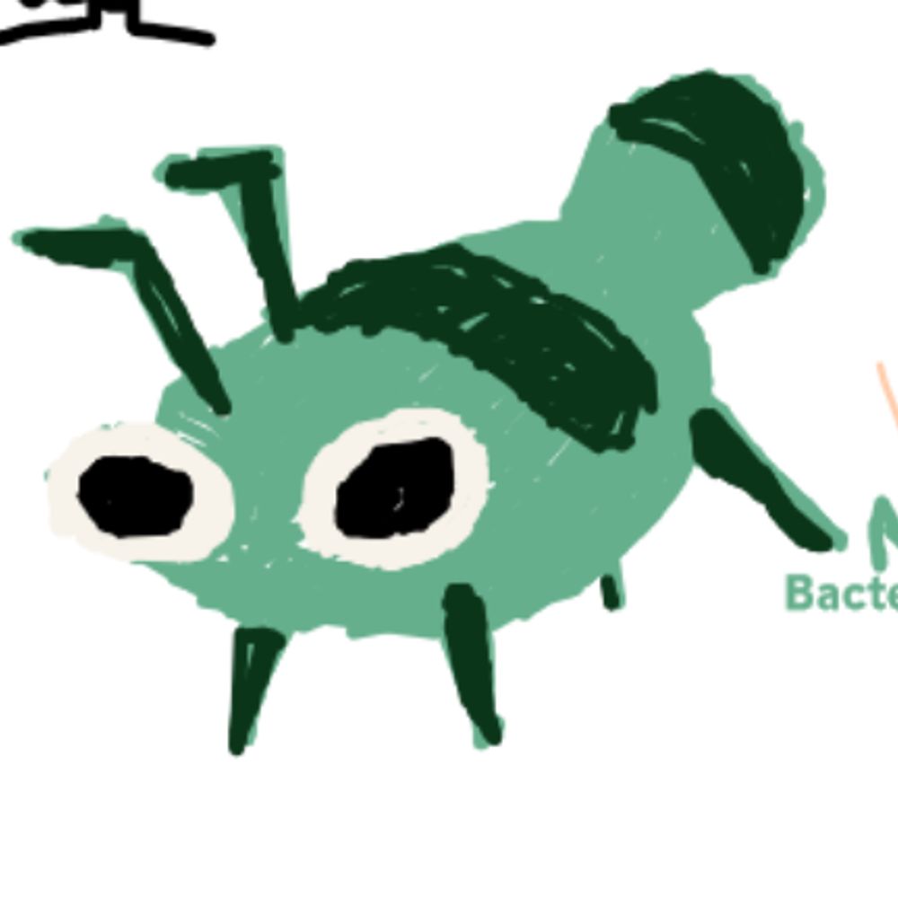 Apatapapepe.