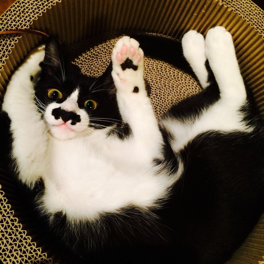 とらら