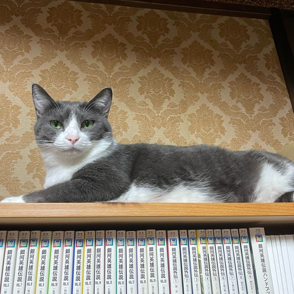 桂桂
