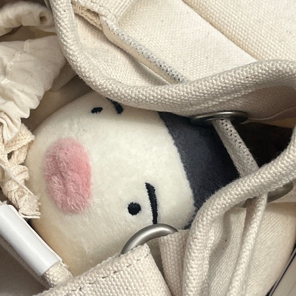 뿅며든 공룡