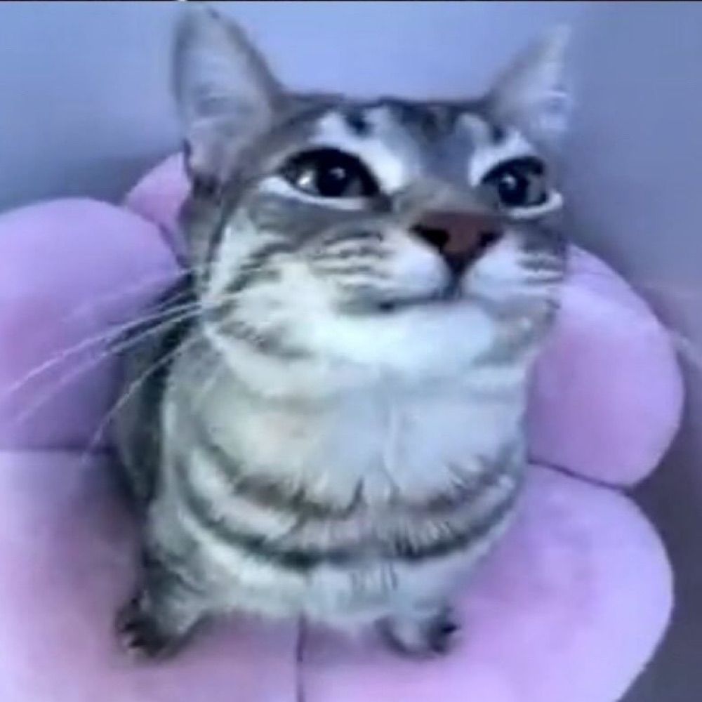 Felix Retter