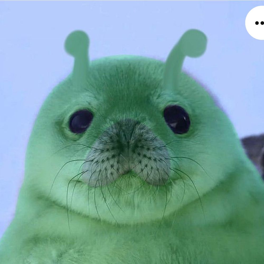 Dill