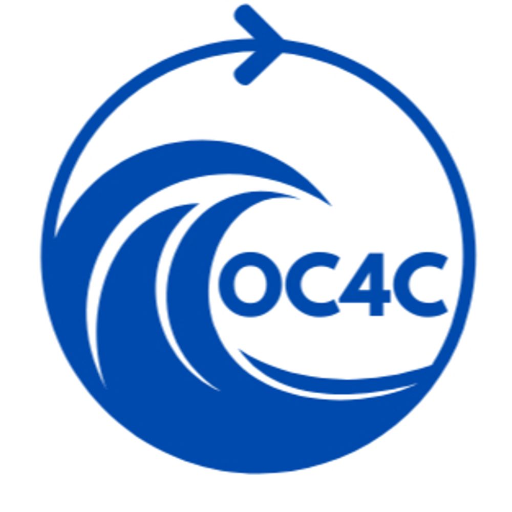 OceanCarbon4Climate