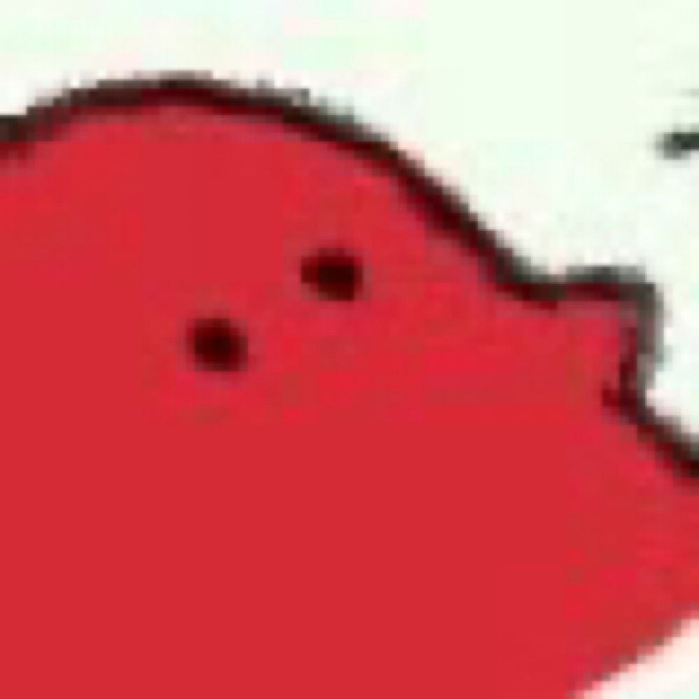 ばしこ