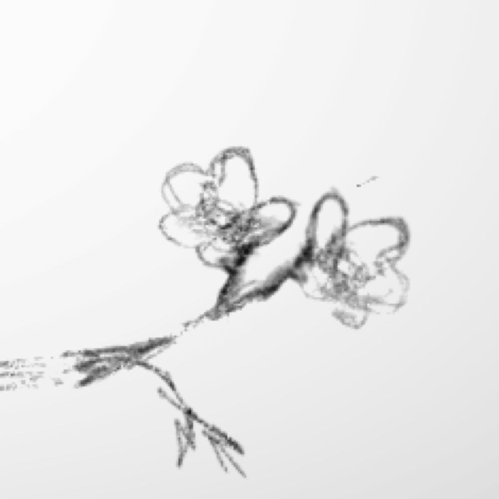 母