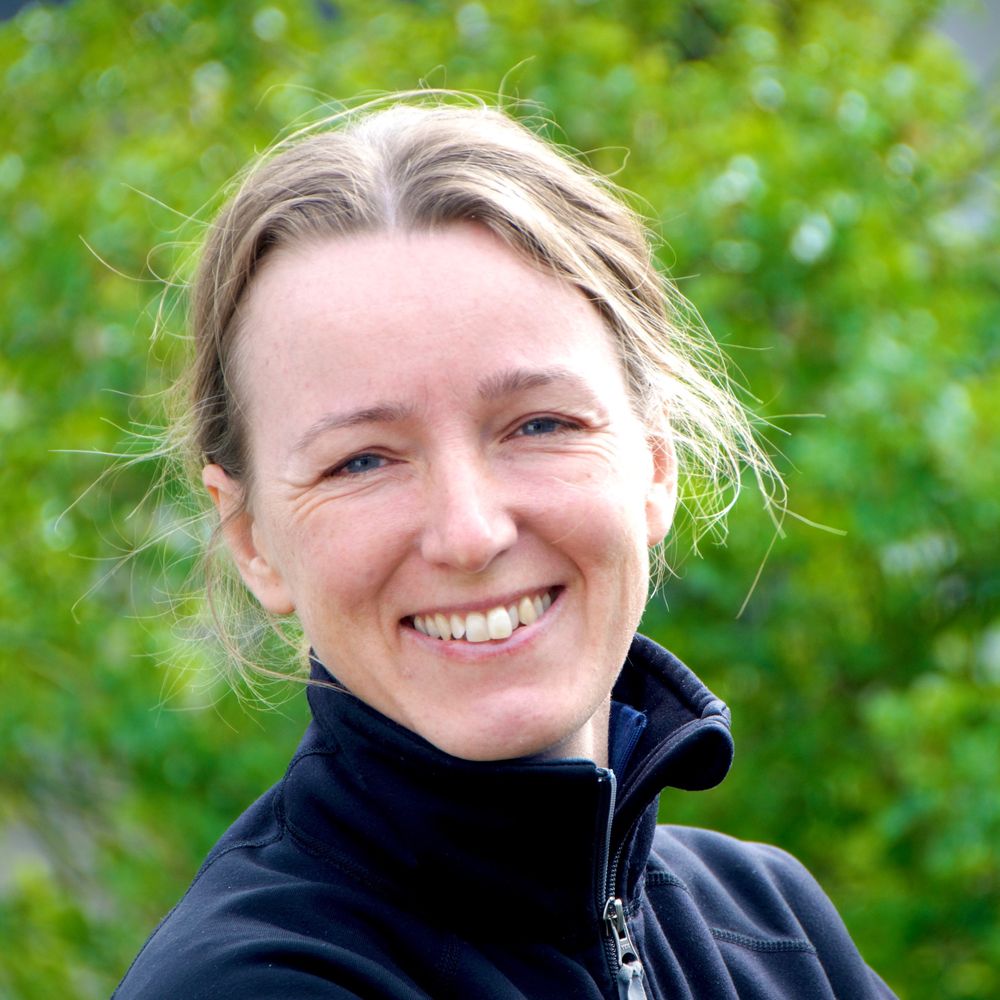 Grogrund/ Anna Thoresson