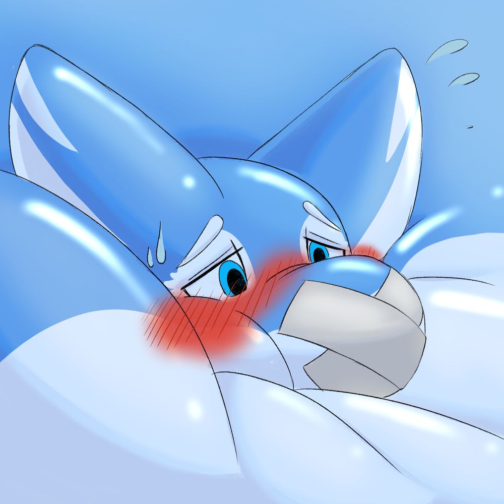 sonderq.bsky.social profile picture
