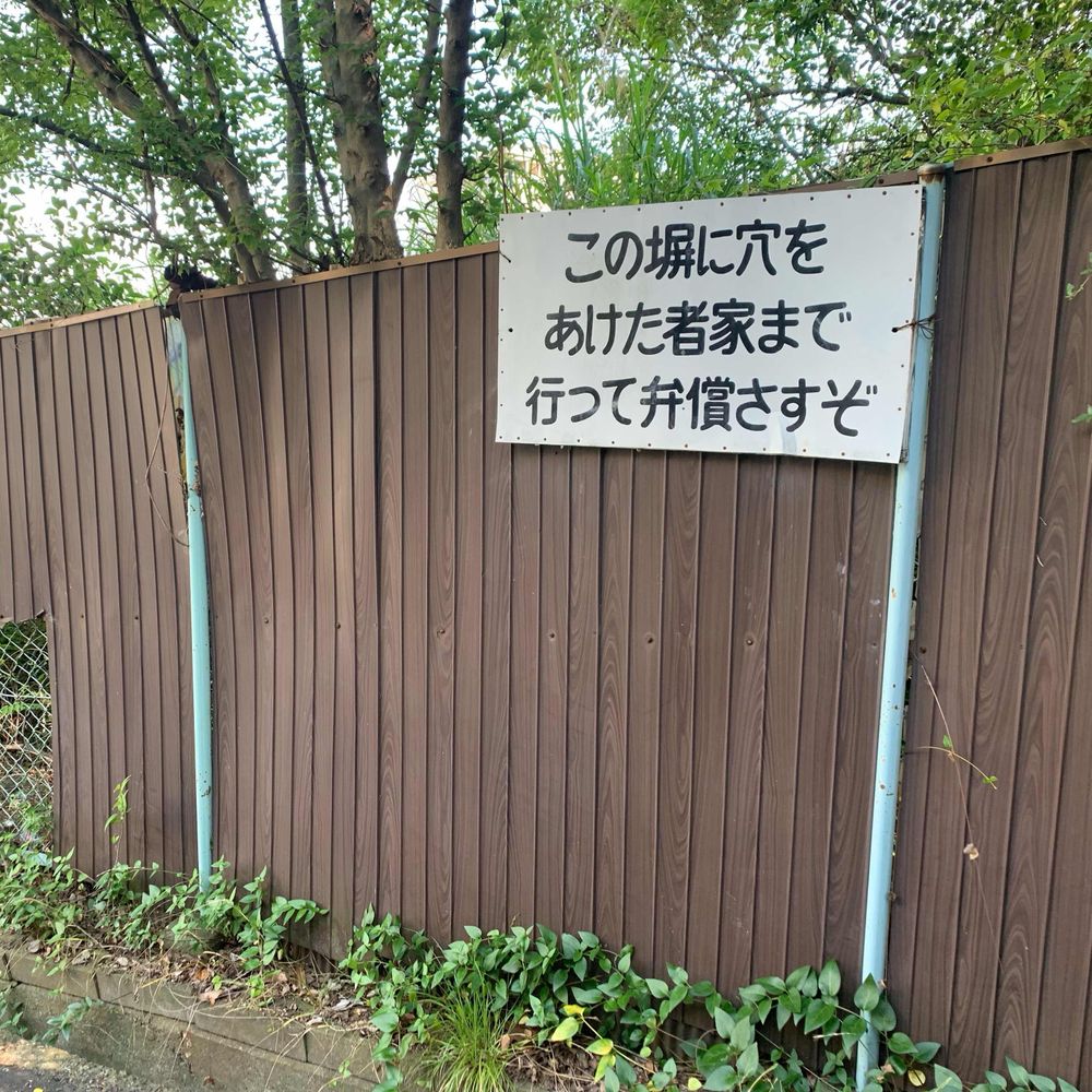 サクライ