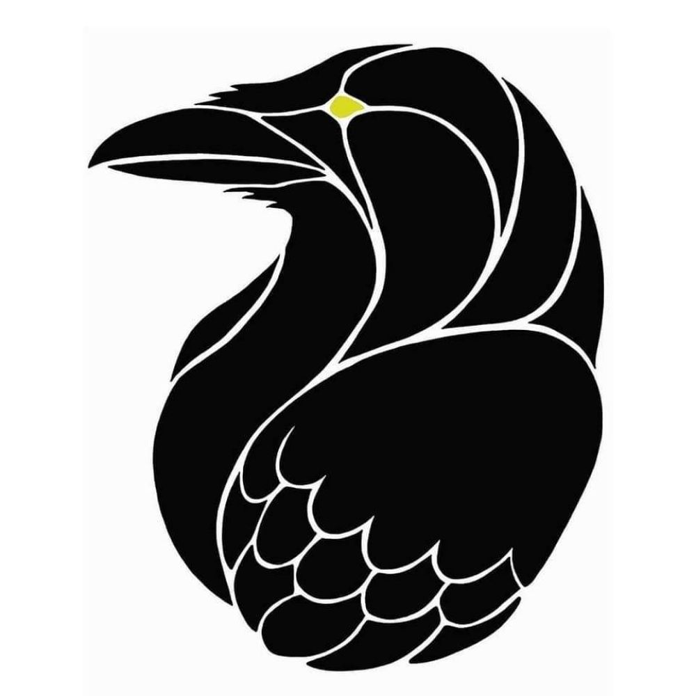 RavenStar Studio