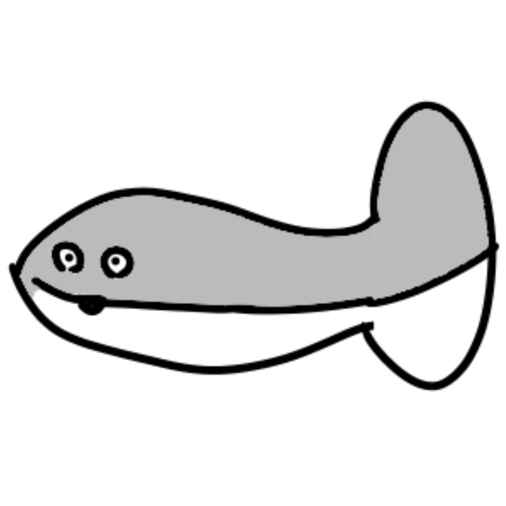 ずまん