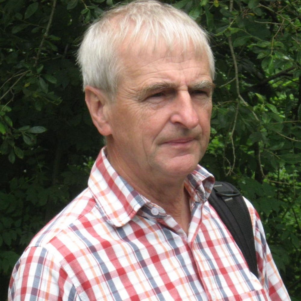 John Wilson