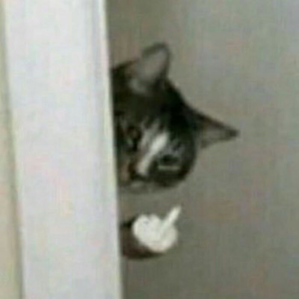 d.