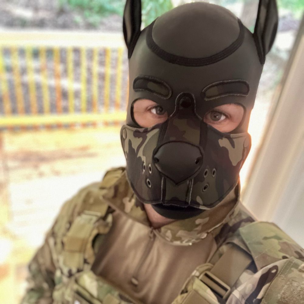 Pup Loki