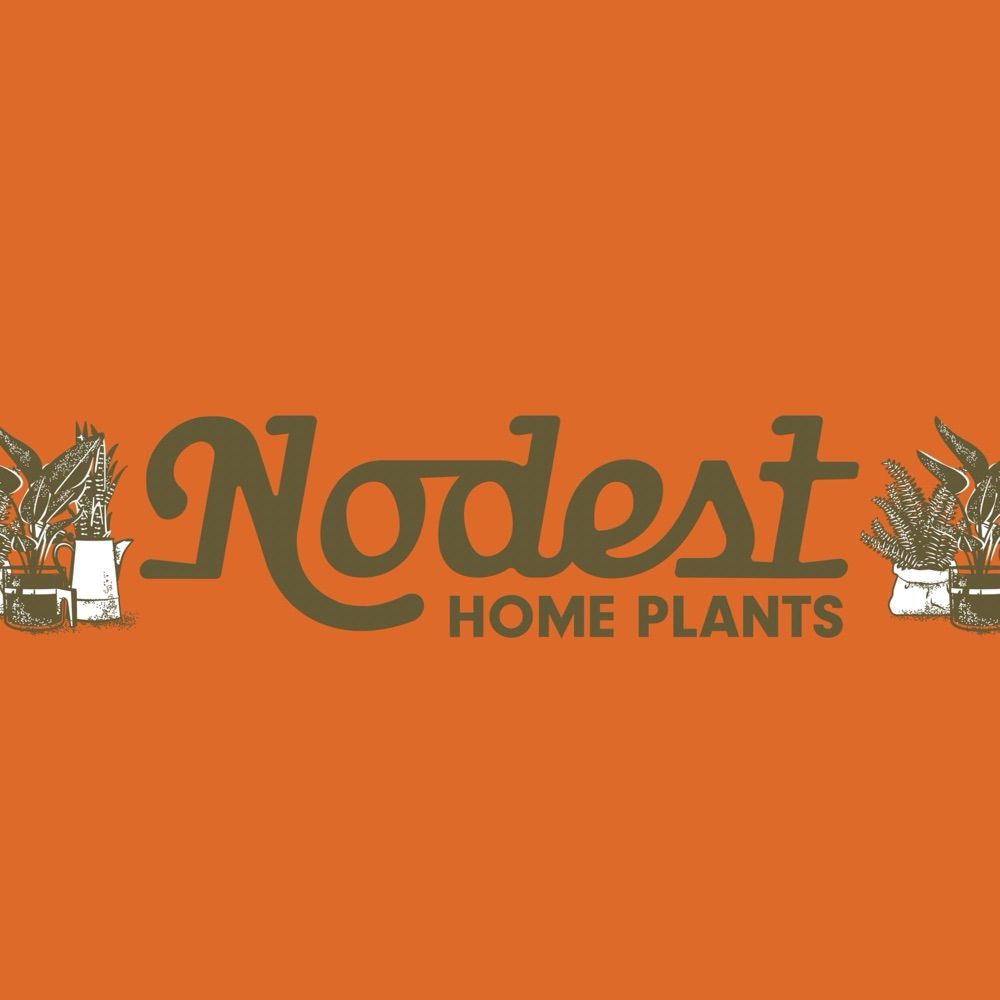 Nodest Home Plants