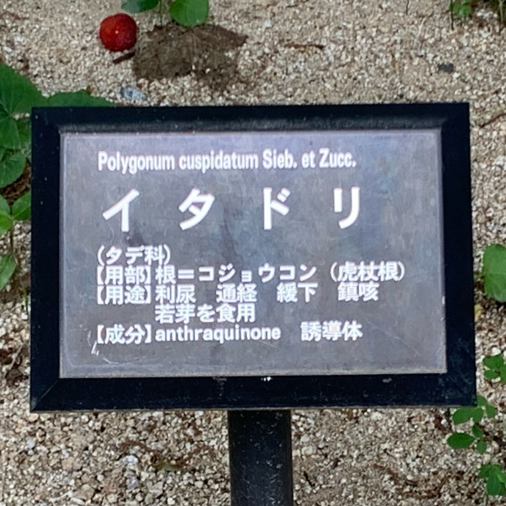 殺意が欲しいあんまん