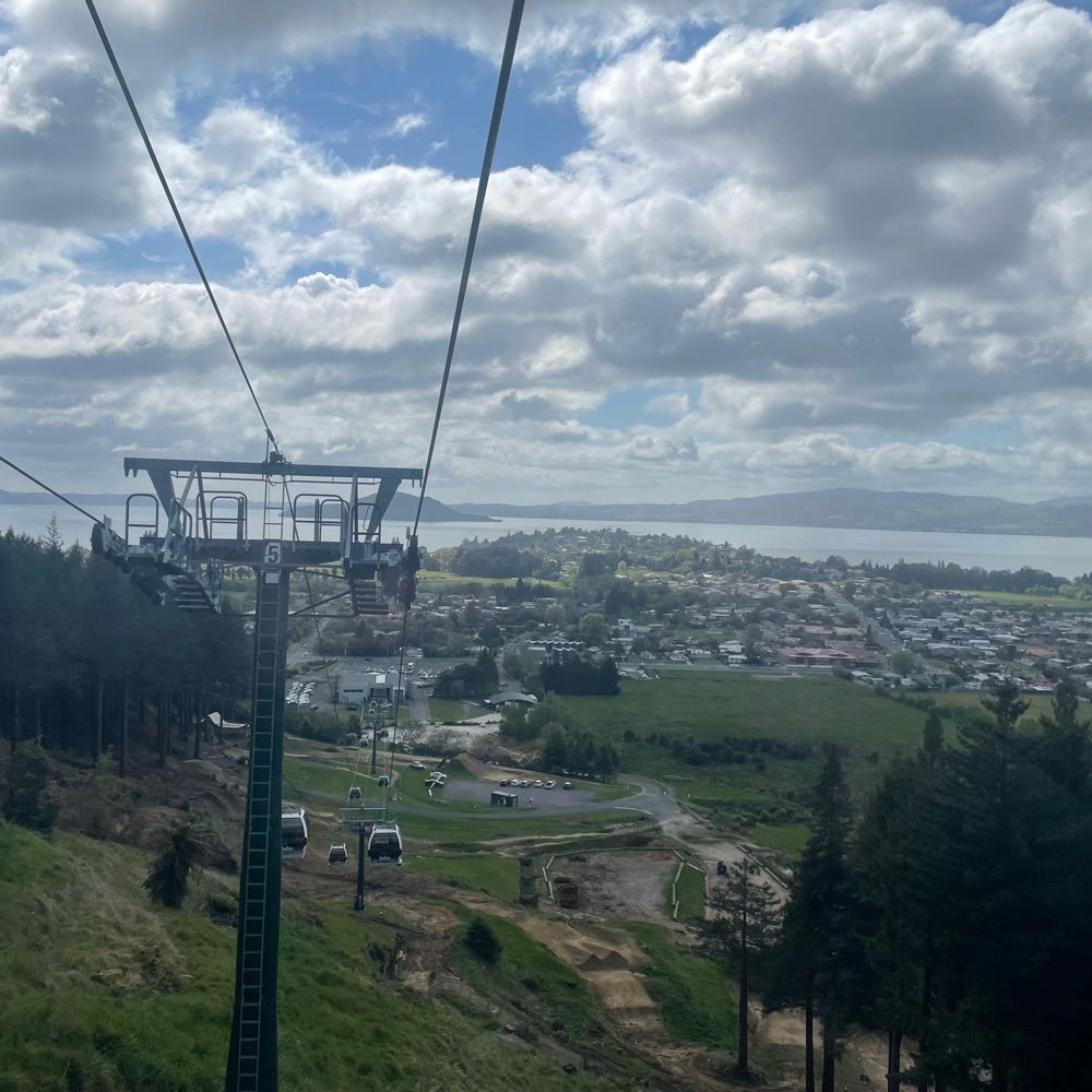 Daniel - Welly NZ