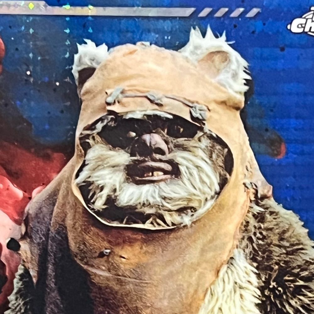 Jedi Judge