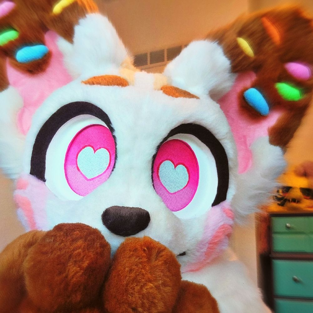 🦊 Foxop 🐾