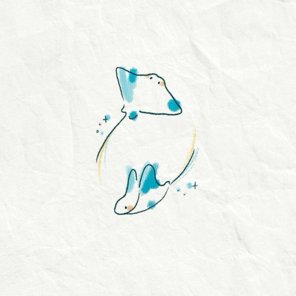 닥토