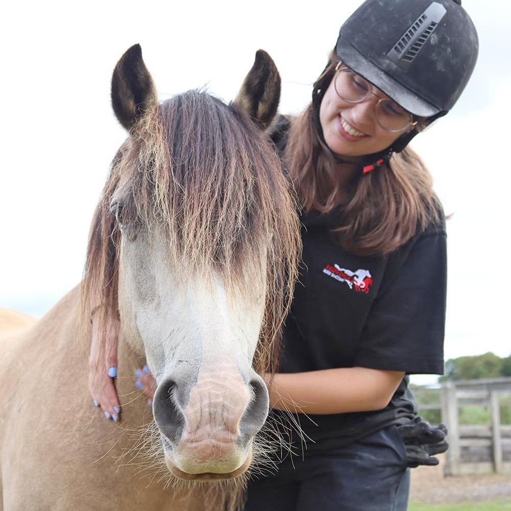 Redwings Horse Sanctuary